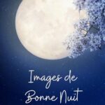 ᐅ image bonne nuit - Bonjour images gratuites