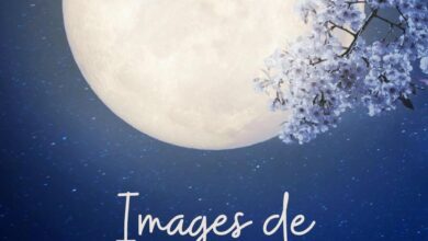 ᐅ image bonne nuit - Bonne nuit images gratuites
