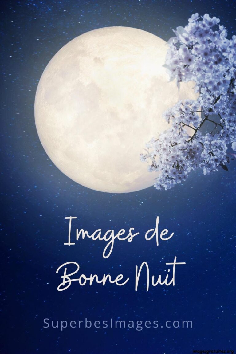 image bonne nuit