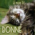 ᐅ image bonne nuit drole - Bonne nuit images gratuites