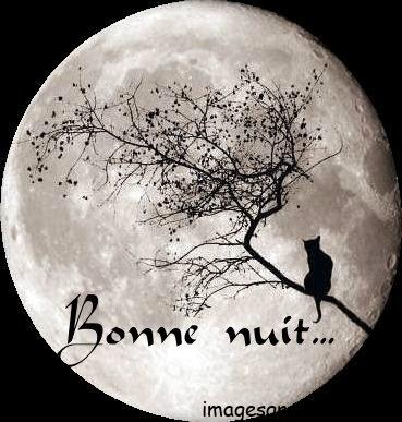ᐅ image bonne nuit romantique - Bonne nuit images gratuites ᐅ image bonne nuit romantique - Bonne nuit images gratuites