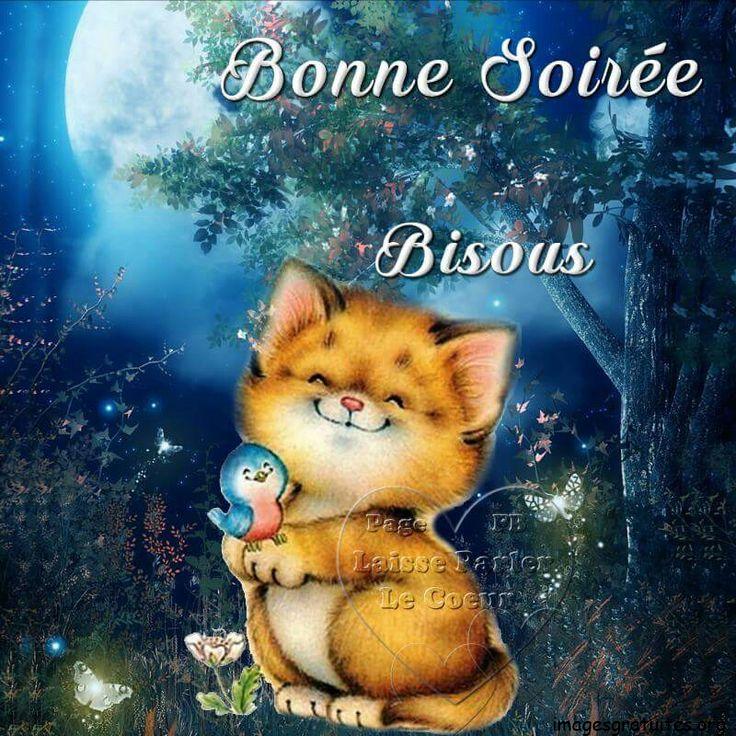ᐅ image bonne soirée et bonne nuit - Bonne nuit images gratuites ᐅ image bonne soirée et bonne nuit - Bonne nuit images gratuites