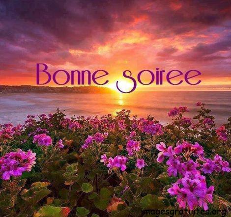 ᐅ image bonne soirée et bonne nuit - Bonne nuit images gratuites ᐅ image bonne soirée et bonne nuit - Bonne nuit images gratuites