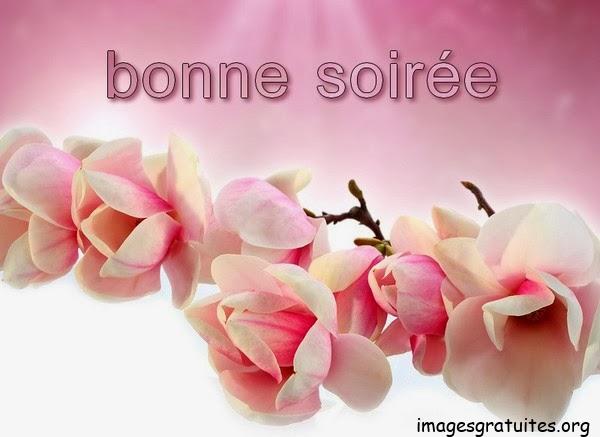 ᐅ image bonne soirée et bonne nuit - Bonne nuit images gratuites ᐅ image bonne soirée et bonne nuit - Bonne nuit images gratuites