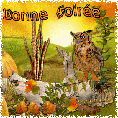 ᐅ image bonne soirée et bonne nuit - Bonne nuit images gratuites ᐅ image bonne soirée et bonne nuit - Bonne nuit images gratuites