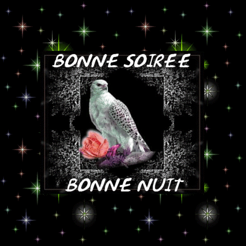 ᐅ image bonne soirée et bonne nuit - Bonne nuit images gratuites ᐅ image bonne soirée et bonne nuit - Bonne nuit images gratuites