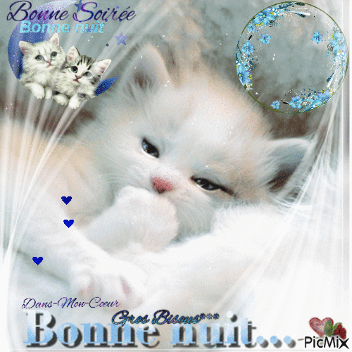 ᐅ image bonne soirée et bonne nuit - Bonne nuit images gratuites ᐅ image bonne soirée et bonne nuit - Bonne nuit images gratuites