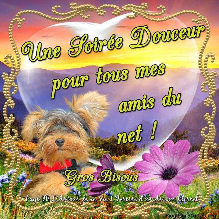 ᐅ image bonne soirée et bonne nuit - Bonne nuit images gratuites ᐅ image bonne soirée et bonne nuit - Bonne nuit images gratuites