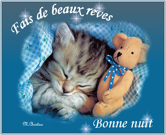ᐅ image bonne soirée et bonne nuit - Bonne nuit images gratuites ᐅ image bonne soirée et bonne nuit - Bonne nuit images gratuites