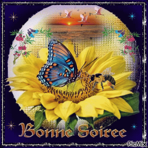 ᐅ image bonne soirée et bonne nuit - Bonne nuit images gratuites ᐅ image bonne soirée et bonne nuit - Bonne nuit images gratuites