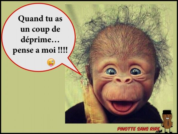 ᐅ image drôle du jour - Humour images gratuites