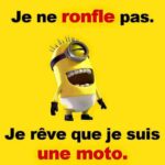 ᐅ image drôle et insolite - Humour images gratuites