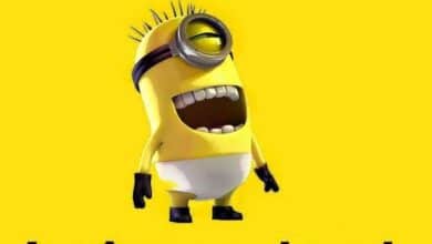 ᐅ image drôle et insolite - Humour images gratuites