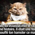 ᐅ image drole animaux - Humour images gratuites