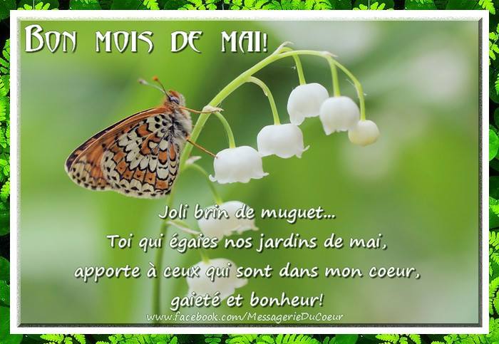 ᐅ image mois de mai - Mai images gratuites