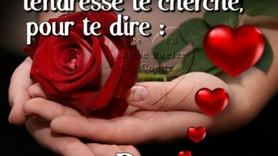 ᐅ image pour dire bonjour - Bonjour images gratuites