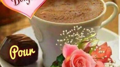 ᐅ jolie image bonjour - Bonjour images gratuites