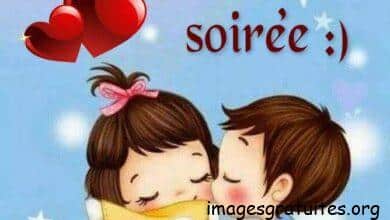 ᐅ passer une bonne soirée - Bonne soirée images gratuites