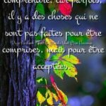 ᐅ positive bon jeudi citation - Jeudi images gratuites