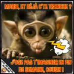 ᐅ rigolo bon mardi humour - Mardi images gratuites