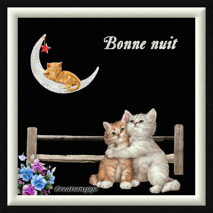 ᐅ scintillant bonne soire et bonne nuit gif - Bonne soire -  imagesgratuites.org