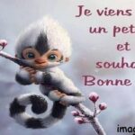 ᐅ souhaiter une bonne semaine - Bonne semaine images gratuites