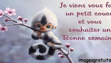 ᐅ souhaiter une bonne semaine - Bonne semaine images gratuites