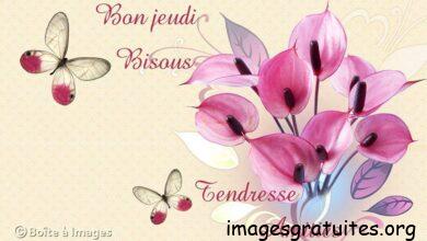 ᐅ tendresse bon jeudi - Jeudi images gratuites