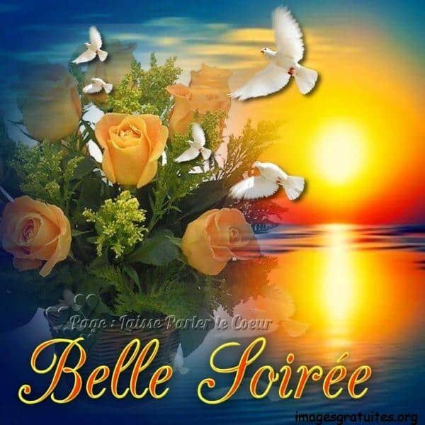 ᐅ très belle image bonne soirée - bonne soirée images gratuites